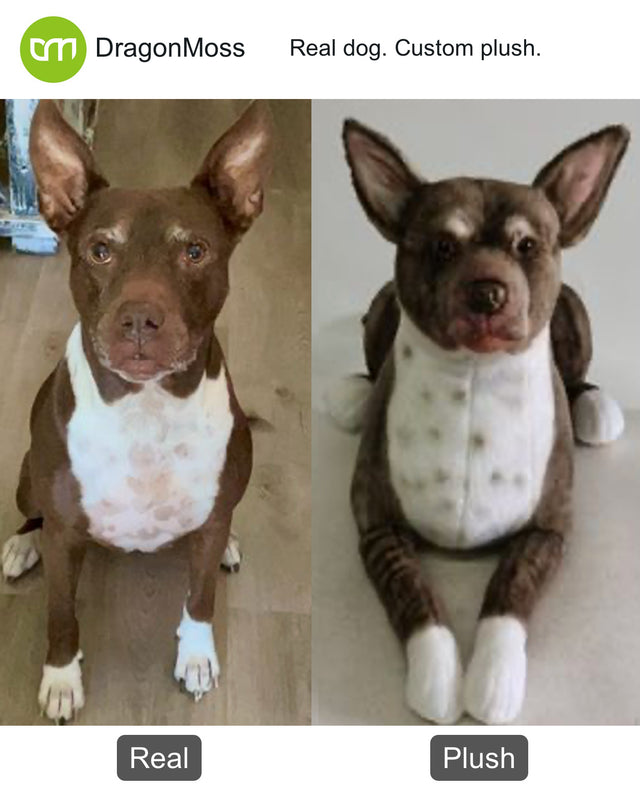 Dog photo beside a full-body custom plush, comparison 104