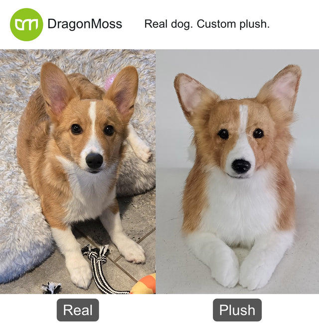 Dog photo beside a full-body custom plush, comparison 107