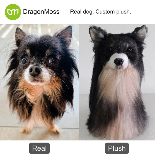 Dog photo beside a full-body custom plush, comparison 108