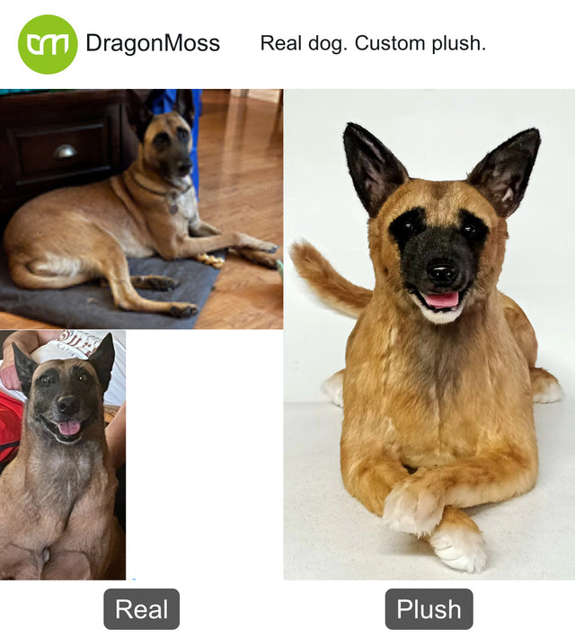 Dog photo beside a full-body custom plush, comparison 109