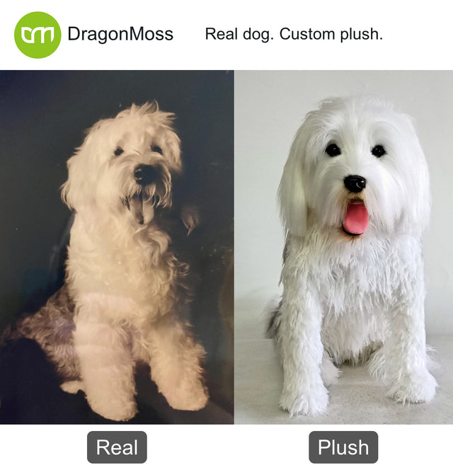 Dog photo beside a full-body custom plush, comparison 111