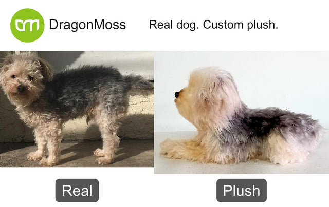 Dog photo beside a full-body custom plush, comparison 112
