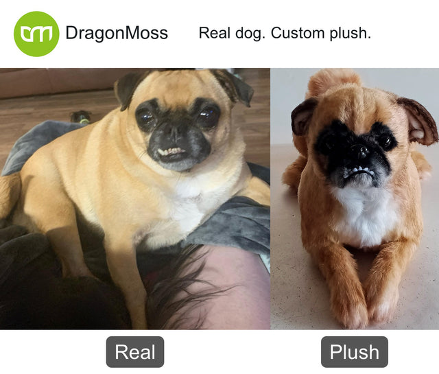 Dog photo beside a full-body custom plush, comparison 113