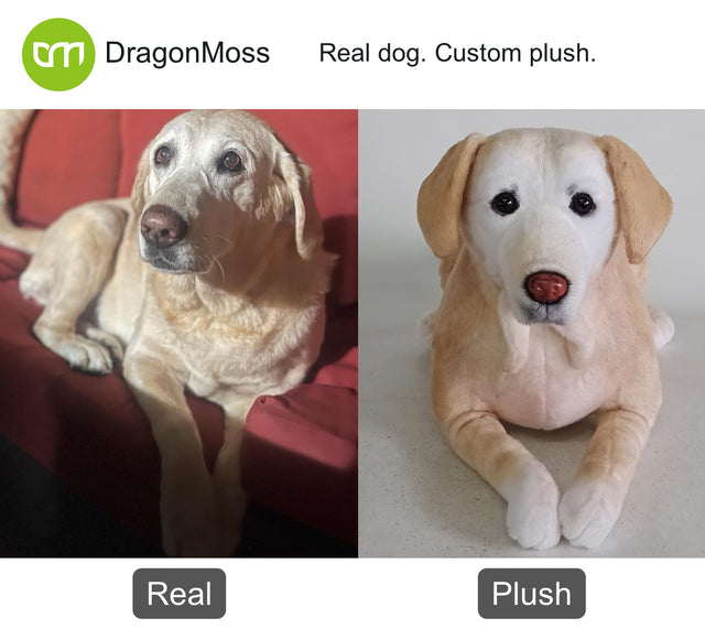 Dog photo beside a full-body custom plush, comparison 114