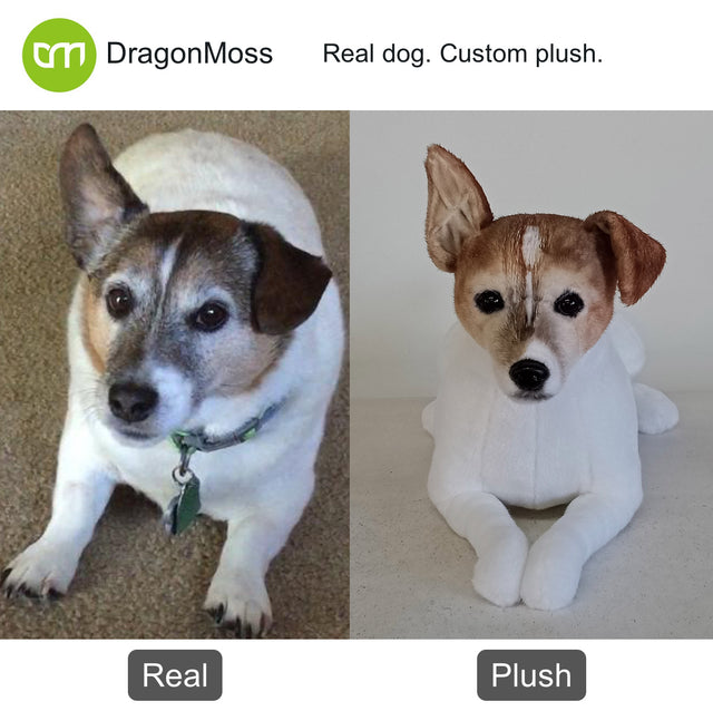Dog photo beside a full-body custom plush, comparison 115