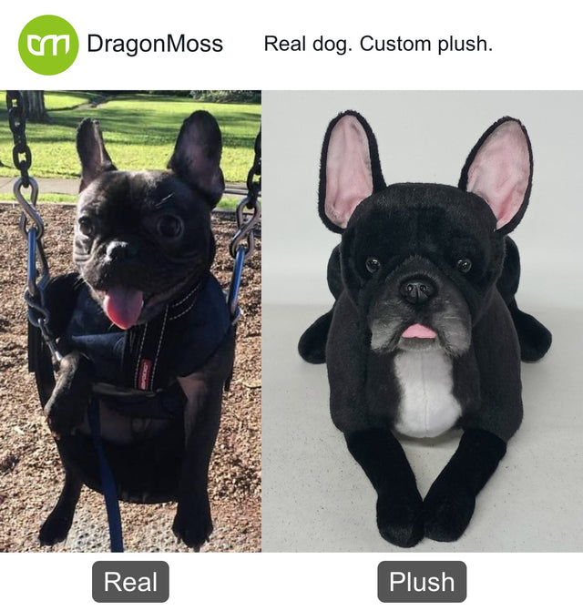 Dog photo beside a full-body custom plush, comparison 116