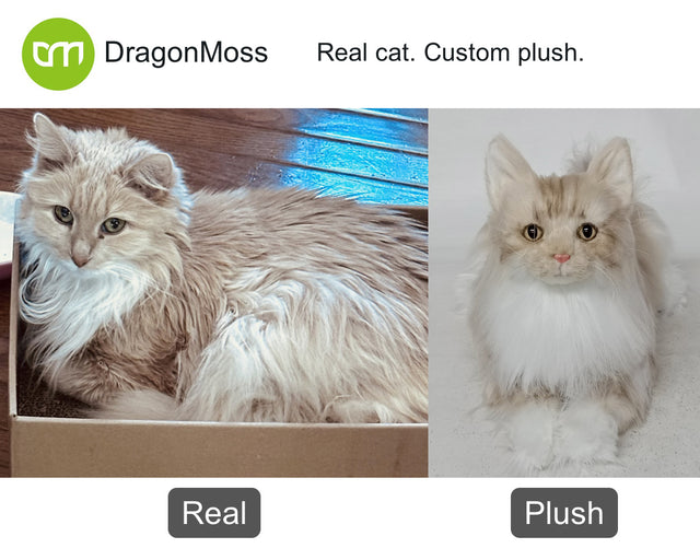 Cat photo beside a full-body custom plush, comparison 121