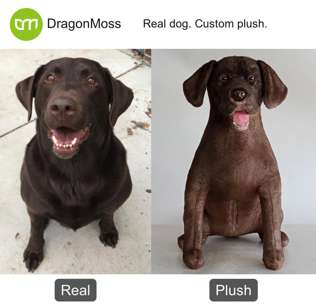 Dog photo beside a full-body custom plush, comparison 123