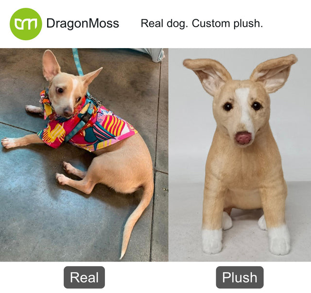 Dog photo beside a full-body custom plush, comparison 124