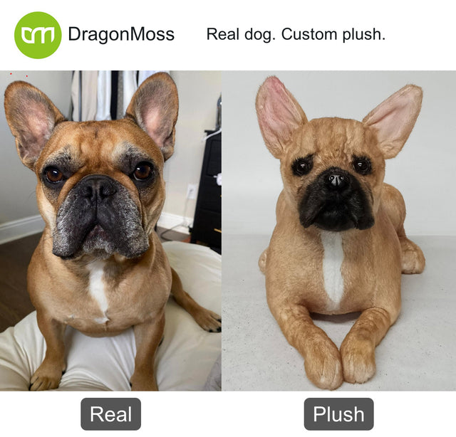 Dog photo beside a full-body custom plush, comparison 125