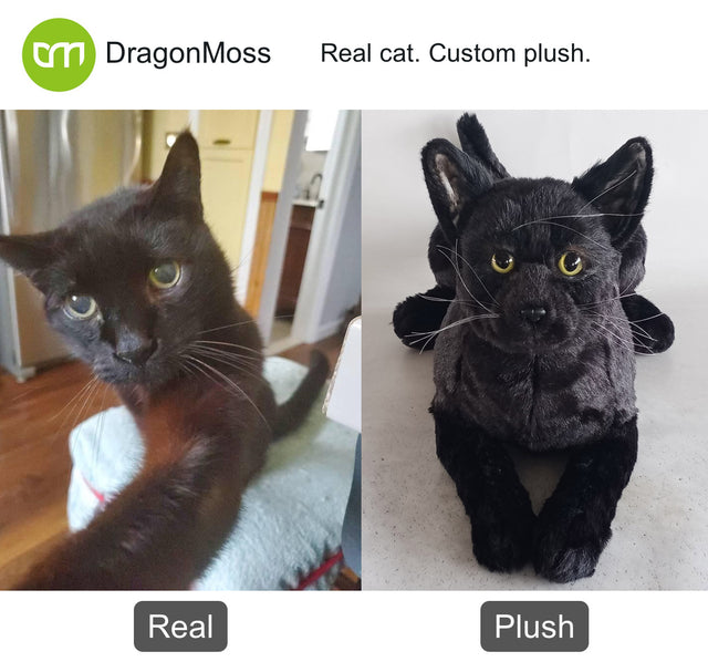Cat photo beside a full-body custom plush, comparison 126