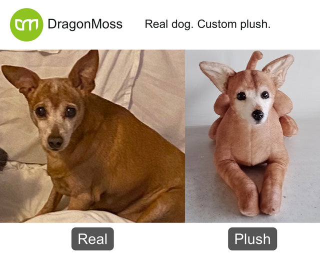 Dog photo beside a full-body custom plush, comparison 128