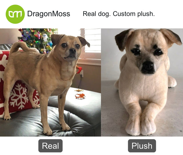 Dog photo beside a full-body custom plush, comparison 130