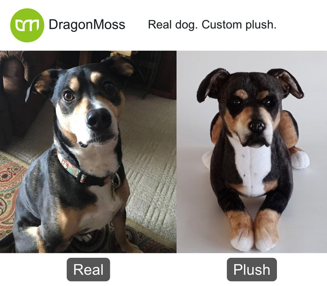 Dog photo beside a full-body custom plush, comparison 133