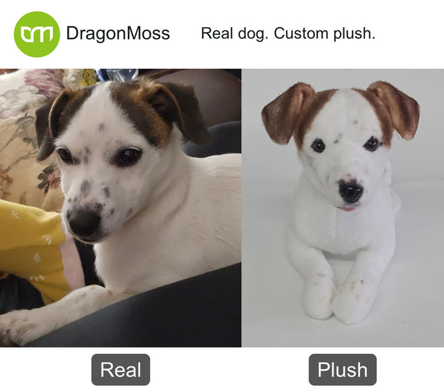 Dog photo beside a full-body custom plush, comparison 135