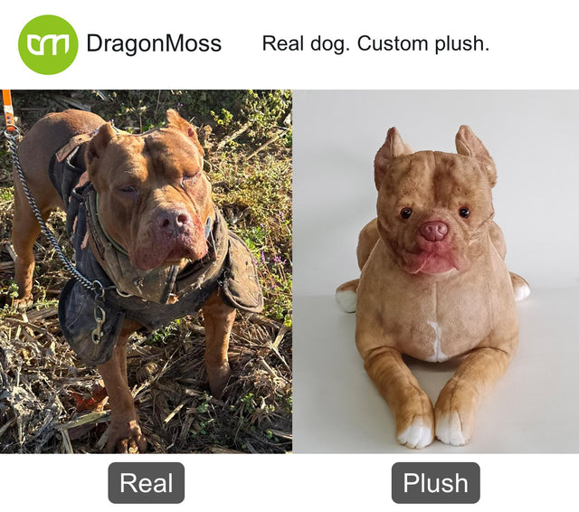 Dog photo beside a full-body custom plush, comparison 136