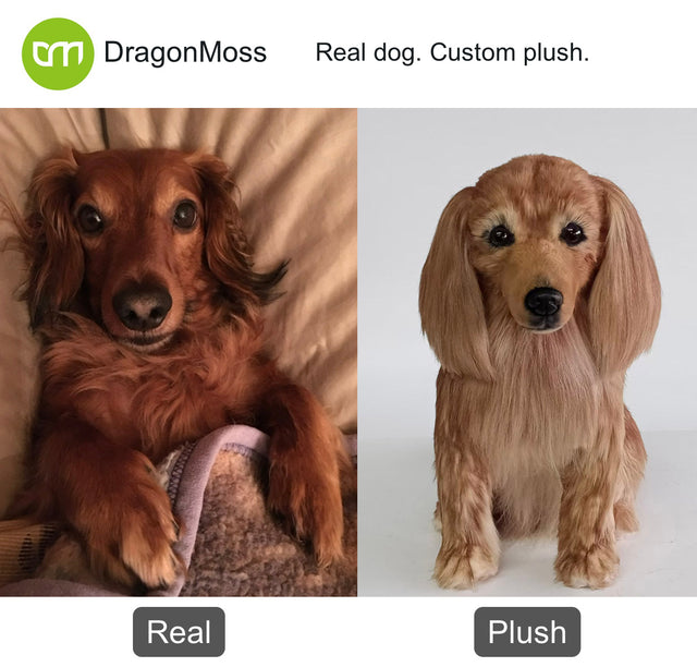 Dog photo beside a full-body custom plush, comparison 137