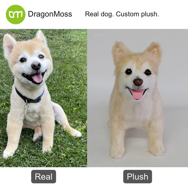 Dog photo beside a full-body custom plush, comparison 138