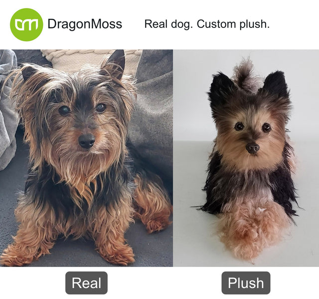 Dog photo beside a full-body custom plush, comparison 142