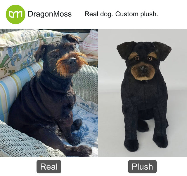 Dog photo beside a full-body custom plush, comparison 143
