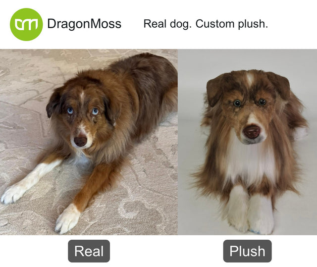Dog photo beside a full-body custom plush, comparison 144