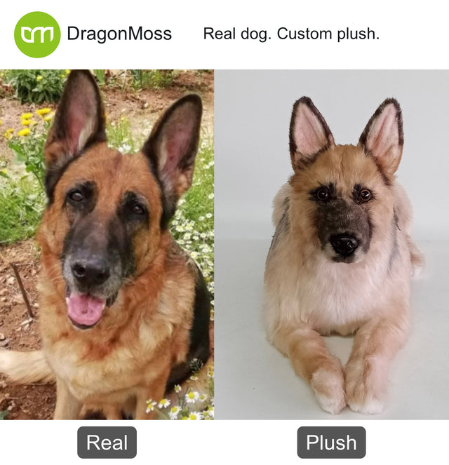 Dog photo beside a full-body custom plush, comparison 145