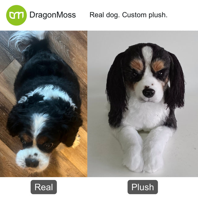 Dog photo beside a full-body custom plush, comparison 146