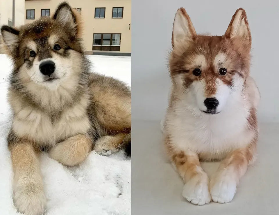 Fluffy dog: original pet photo on the left, handmade custom plush on the right