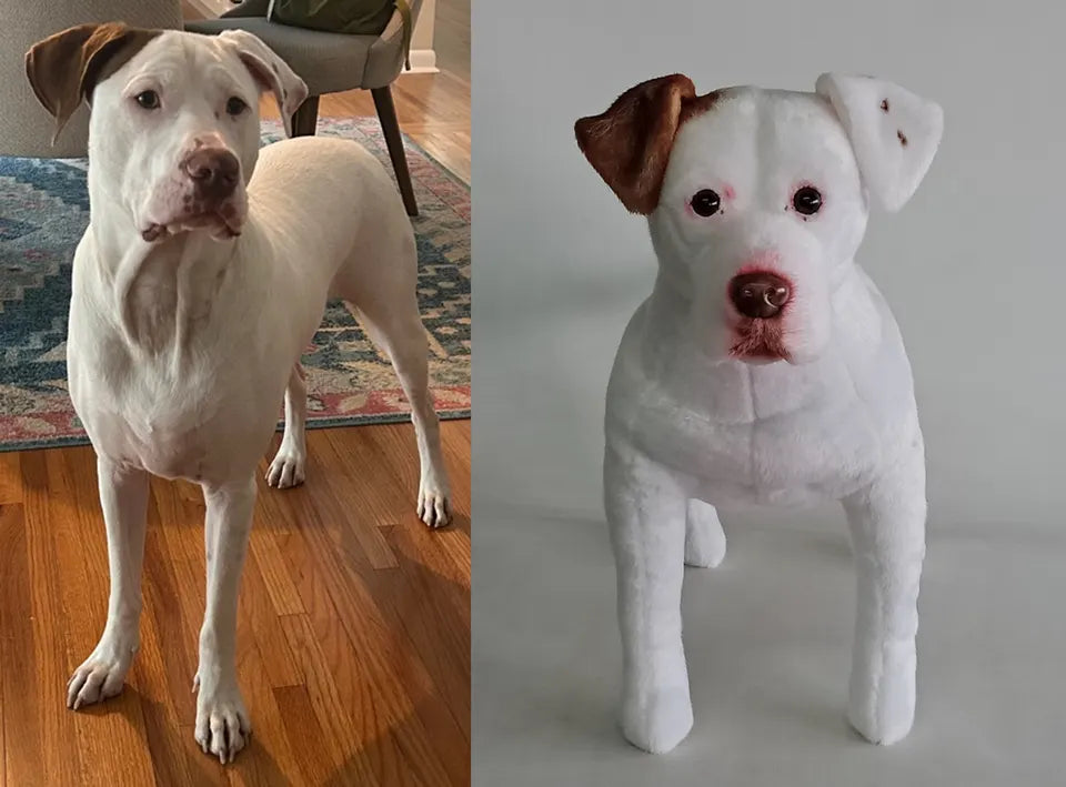 Brown and white dog: original pet photo on the left, handmade custom plush on the right