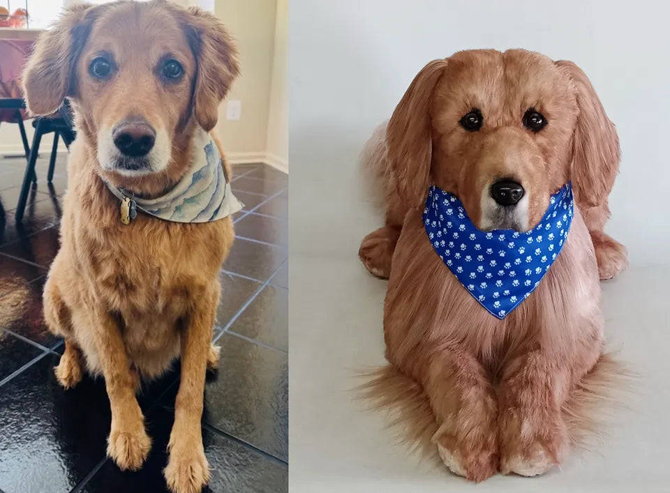 Golden dog: original pet photo on the left, handmade custom plush on the right
