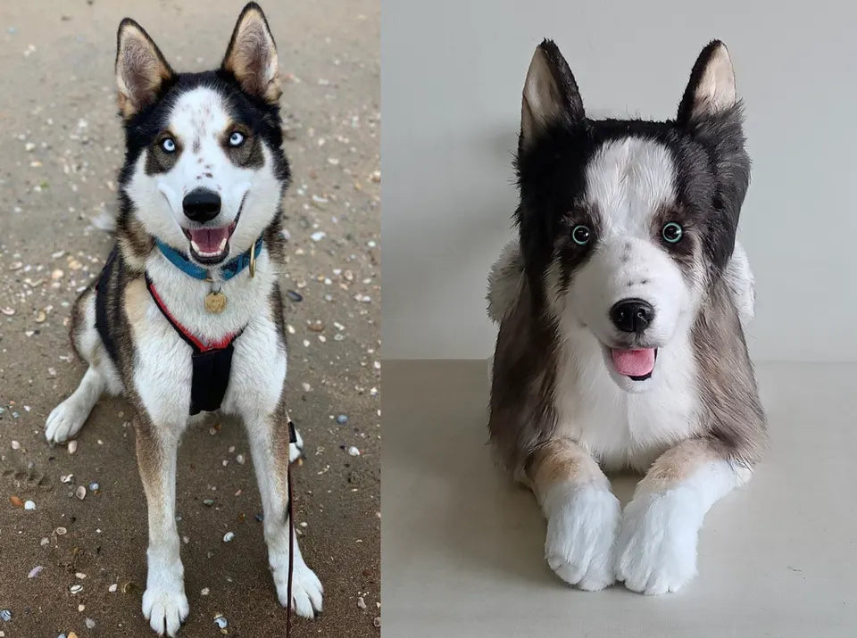 Husky: original pet photo on the left, handmade custom plush on the right