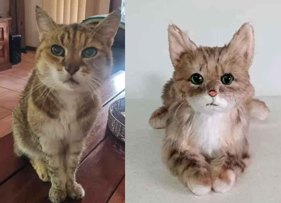Tabby cat: original pet photo on the left, handmade custom plush on the right