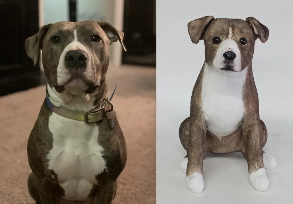 Grey and white dog: original pet photo on the left, handmade custom plush on the right