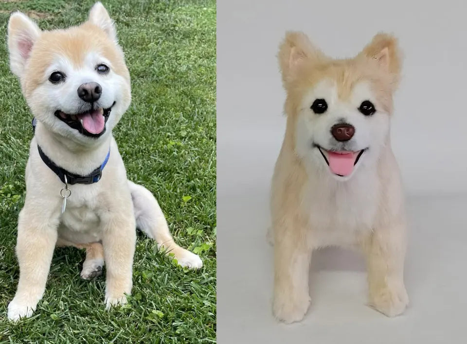 White dog: original pet photo on the left, handmade custom plush on the right