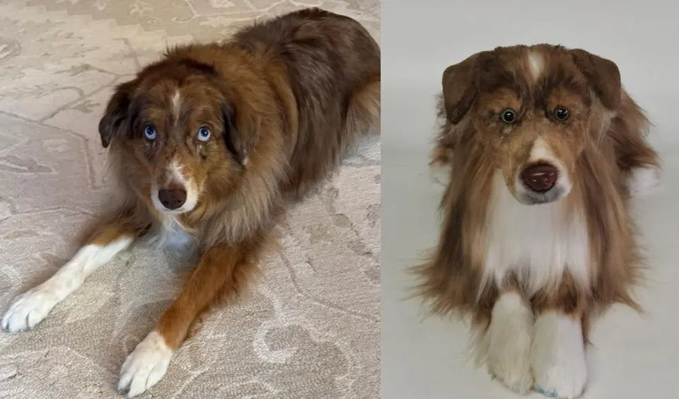 Long-haired dog: original pet photo on the left, handmade custom plush on the right