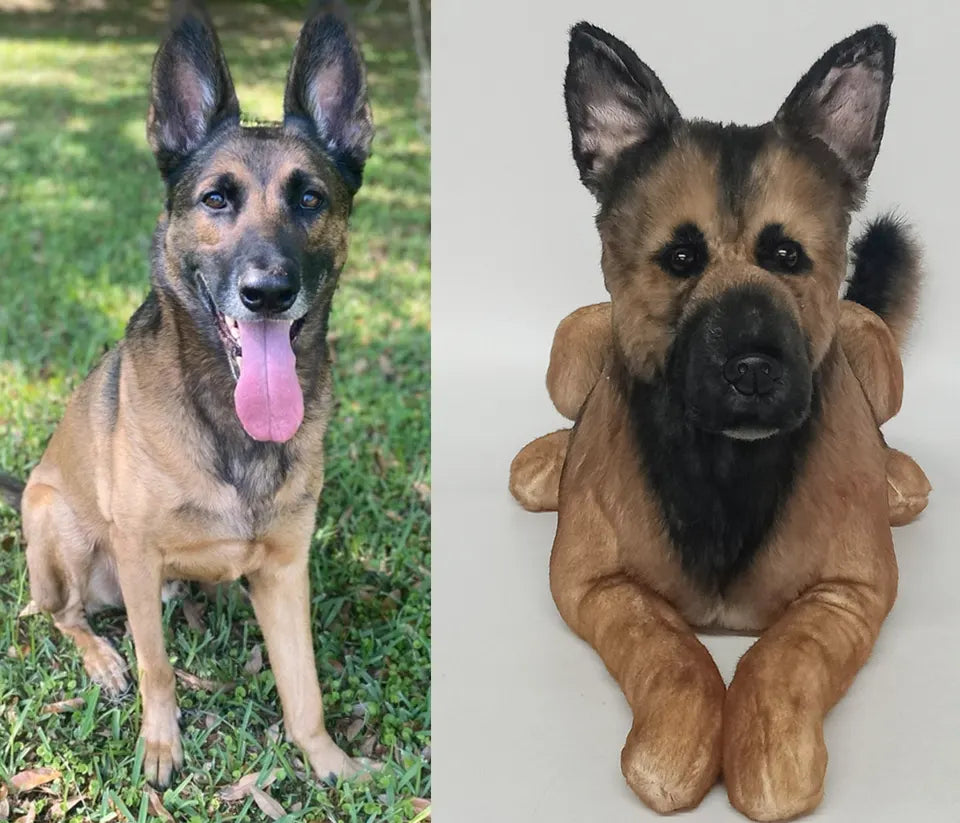 Shepherd: original pet photo on the left, handmade custom plush on the right