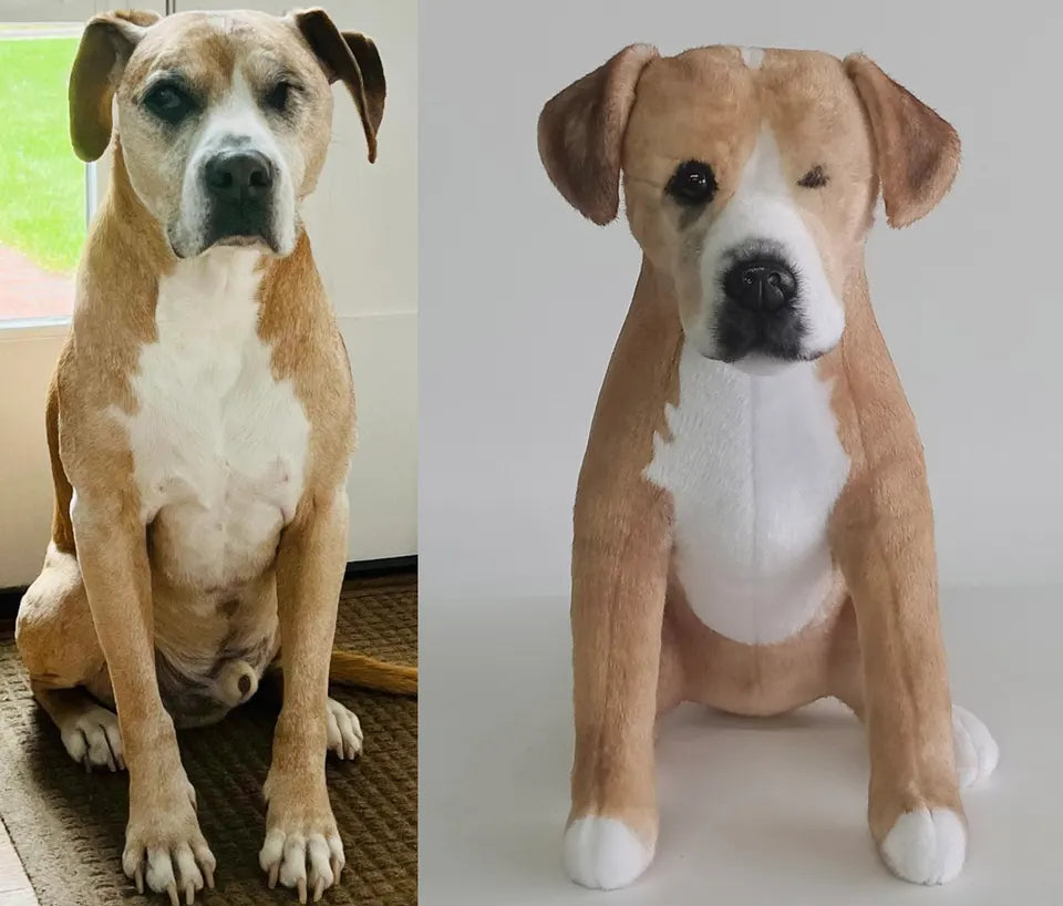 Tan and white dog: original pet photo on the left, handmade custom plush on the right