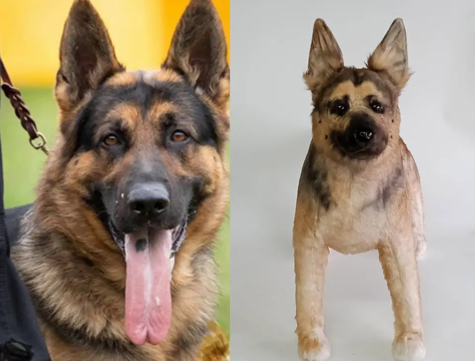 German shepherd: original pet photo on the left, handmade custom plush on the right