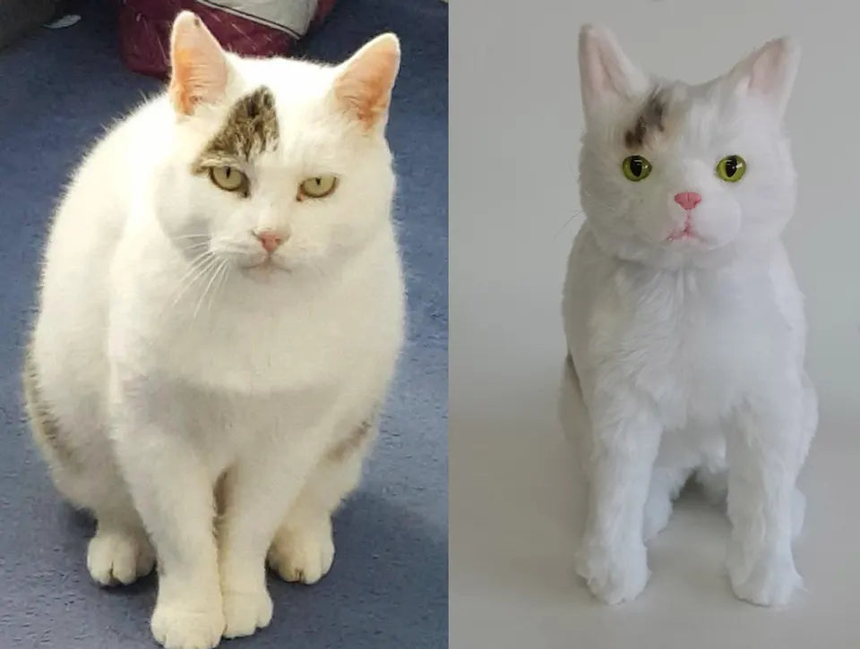 White cat: original pet photo on the left, handmade custom plush on the right