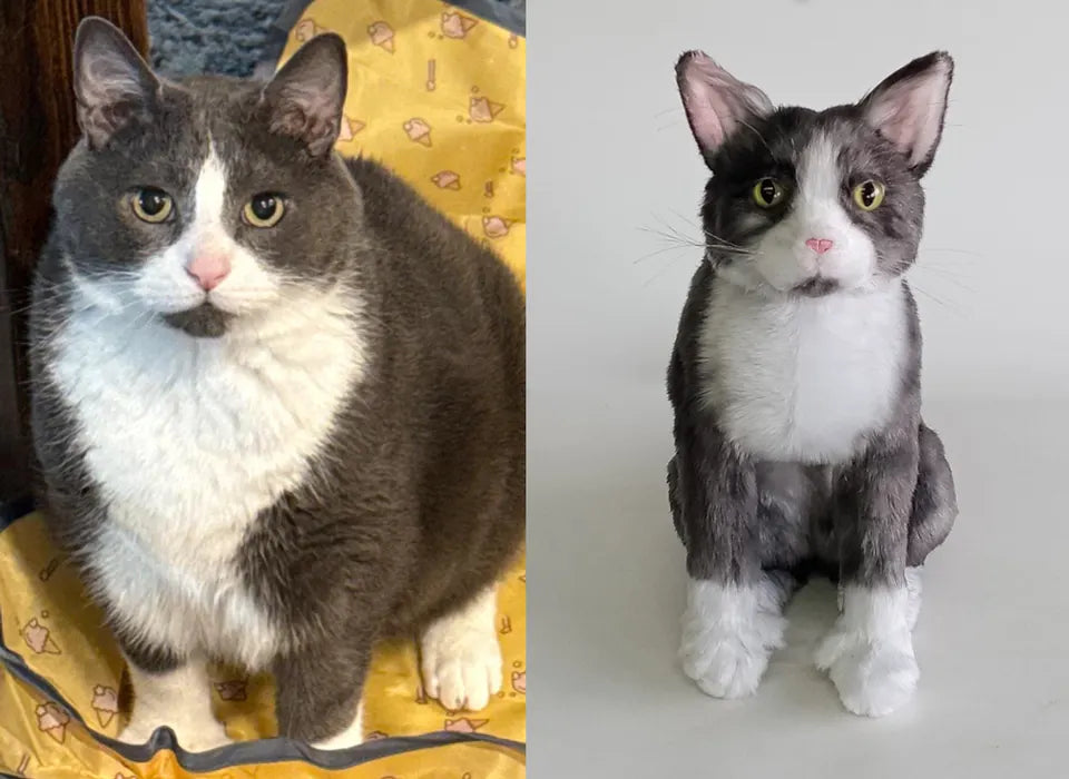 Grey and white cat: original pet photo on the left, handmade custom plush on the right