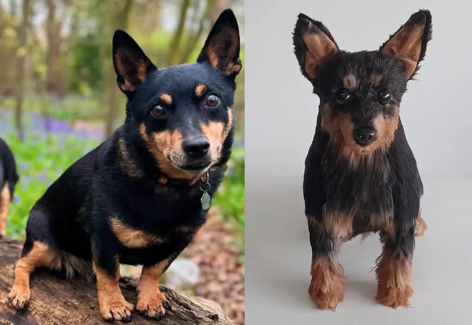 Black and tan dog: original pet photo on the left, handmade custom plush on the right