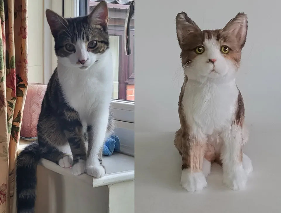 Tabby and white cat: original pet photo on the left, handmade custom plush on the right