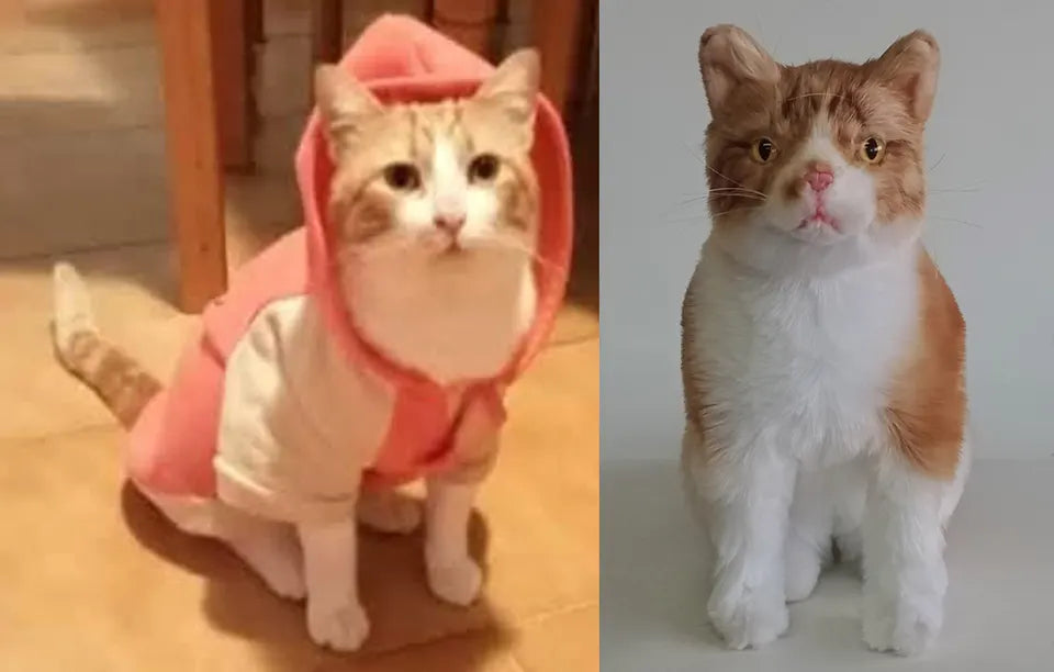 Orange and white cat: original pet photo on the left, handmade custom plush on the right