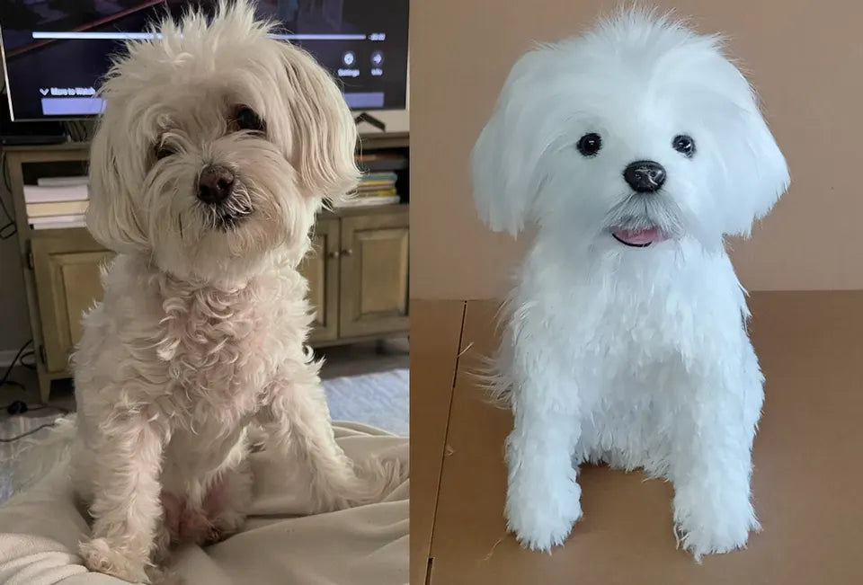 White companion dog: original pet photo on the left, handmade custom plush on the right